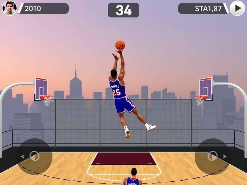 Basketball Dunk Pro India Statistics